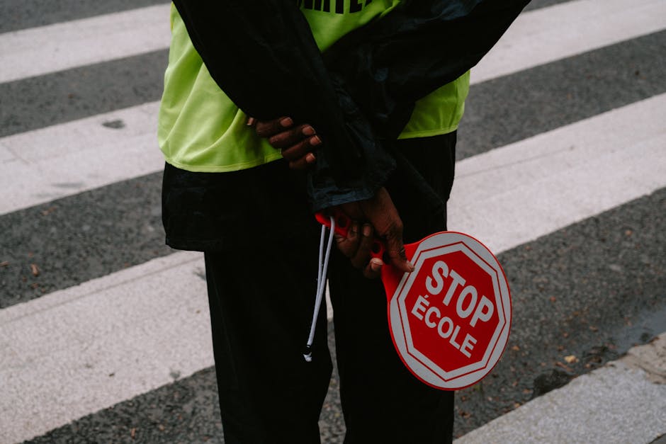 Close-up of a crossing guard with a school stop sign at a pedestrian crosswalk.